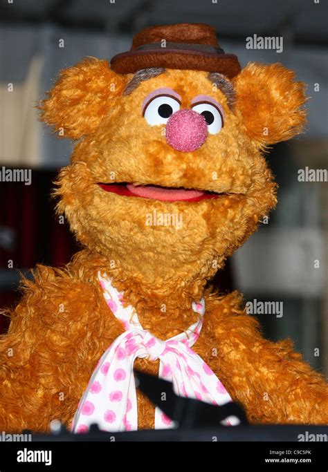 Fozzie Bear Hi Res Stock Photography And Images Alamy