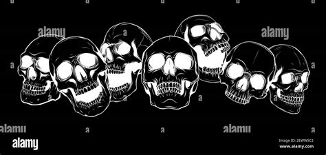 Silhouette Vector Illustration Group Of Human Skulls Human Skull