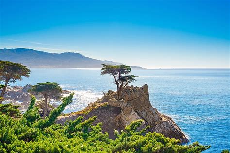 What And Where Is Lone Cypress Worldatlas