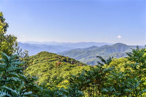 We did not find results for: Layers upon layers of beautiful mountains | Gatlinburg ...