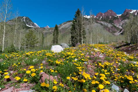 Spring Rocky Mountain Landscape By Cascade Colors Rocky Mountains
