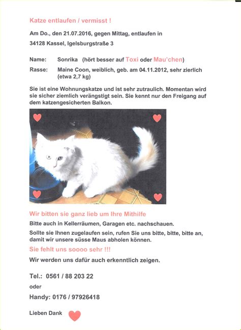 We did not find results for: 3 Vermisstenanzeige Katze Vorlage 12786 | MelTemplates