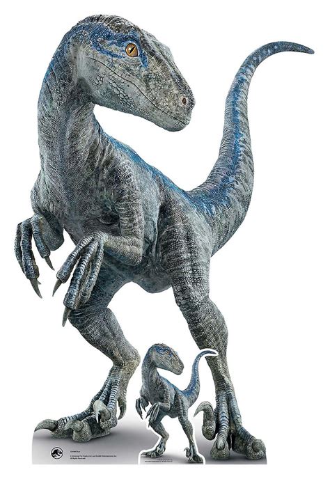 Mother Blue Velociraptor Cardboard Cutout Official Jurassic World Dominion Standee Fruugo Ae