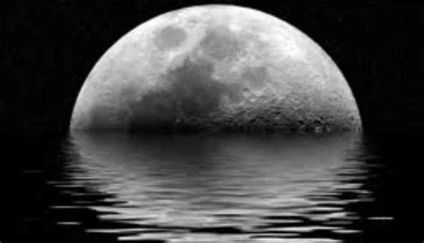 Indias Chandrayaan 1 Helps Scientists Map Water On Moon Digit