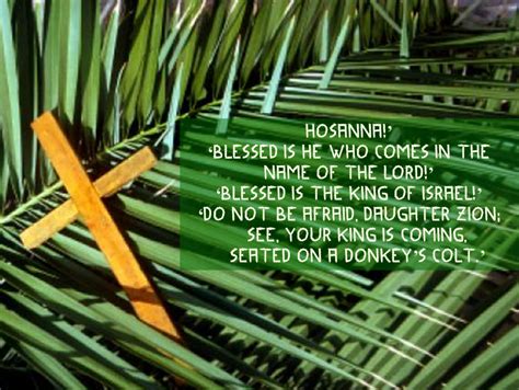 Waving Of Palm Branches The Light Of Christ Journey