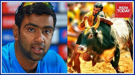 + body measurements & other facts. Ravichandran Ashwin Backs Pro Jallikattu Protests Across ...