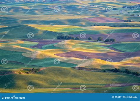 Golden Hour Sunset Aerial View Of The Palouse Region Of Eastern