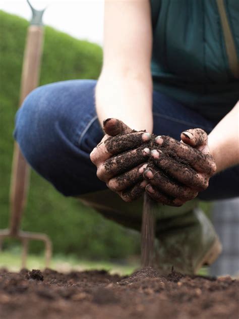 How To Feed Your Soil HGTV