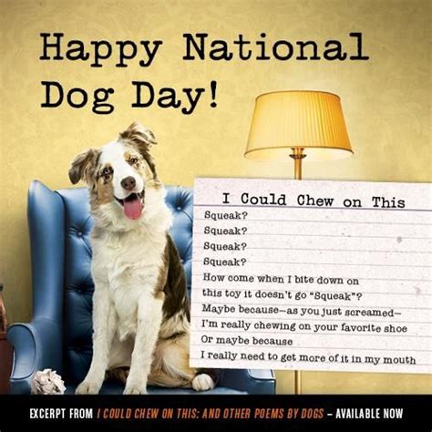 National Dog Day Happy National Dog Day 2019 Nawrb Stephanie Pory1991