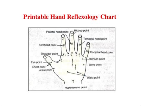 Printable Reflexology Chart In Pdf Format