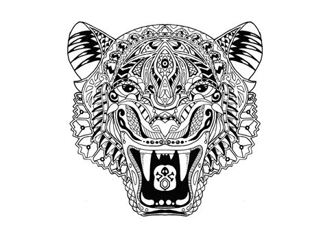 Tiger Tigers Adult Coloring Pages