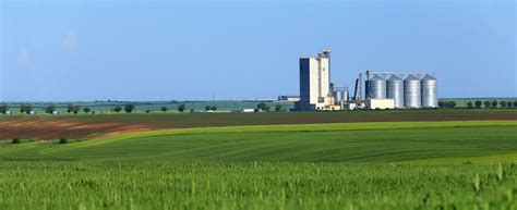 Canadian Grain Inc Leading Exporter Of Canadian Grains And Pulses