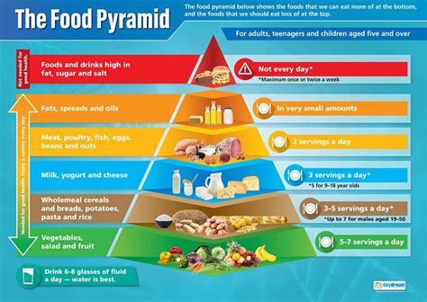 Piramide Alimentare Poster Scientifico Carta Lucida Laminata Misura Mm X Mm A