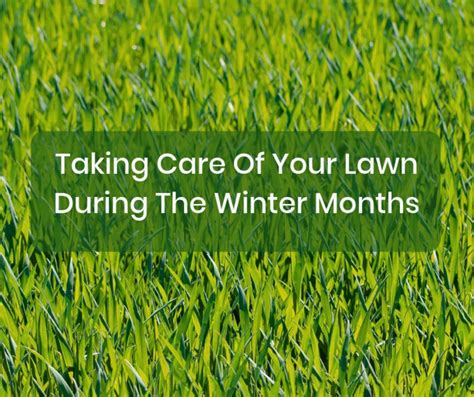 Taking Care Of Your Lawn During The Winter Months Me Annie Bee