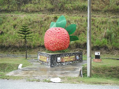 Pejabat ini diketuai oleh seorang ketua jajahan yang juga memangku sebagai majistret dan pentadbir tanah dan jajahan dan secara keseluruhannya mempunyai seramai 106 orang pekerja. Handley Family Big Adventure 2011: Day 133 Kota Bharu to ...