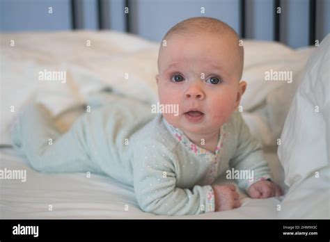 Adorable Little Baby Portrait Cute Baby Girl Indoor Stock Photo Alamy