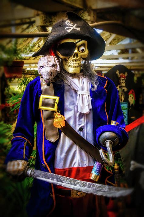 skeleton pirate photograph by garry gay