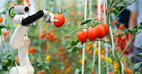 Agricultural Robots Are We Ushering The Age Of Robot Farmers