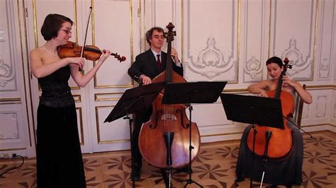 Michael Haydn Divertimento For Violin Cello Double Bass Youtube