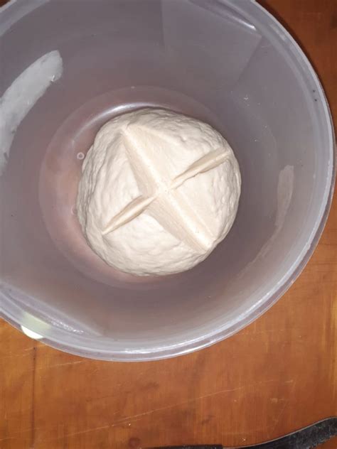 In frigorifero il lievito dovrebbe riposare ad un temperatura di 4°c. Come fare il lievito madre fatto in casa? - PizzaeFocaccia.it