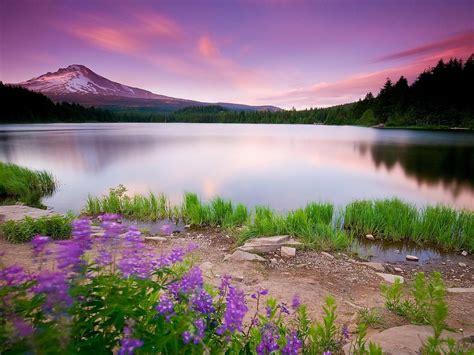Widescreen Hd Nature Wallpaper In 1080p Size With Purple Views Hd