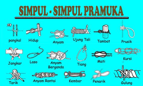 Macam Macam Simpul Dan Kegunaannya - Paket Internet Murah