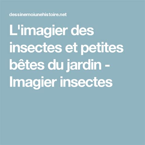 Limagier Des Insectes Et Petites Bêtes Du Jardin Imagier Insectes