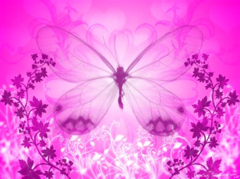 Free Download Beautiful Pink Butterfly Wallpaper Pink Flower Wallpapers