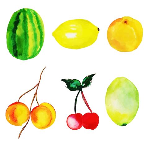 Collection De Fruits Aquarelle Vecteur Gratuite