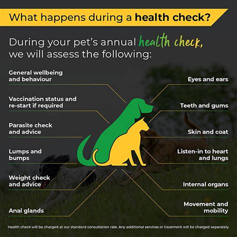 Spring Into Action And Book Your Pets Health Check Today Village Vet