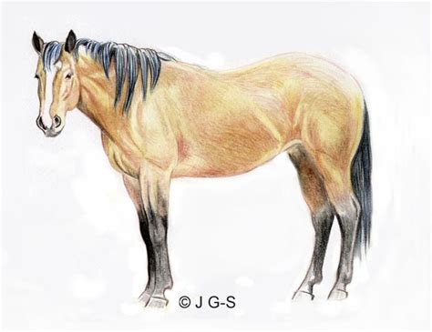 Thumbnail mustang how you remind me, others, horse, fauna, mane png. Drawing Lesson: A Realistic Horse in Colored Pencil