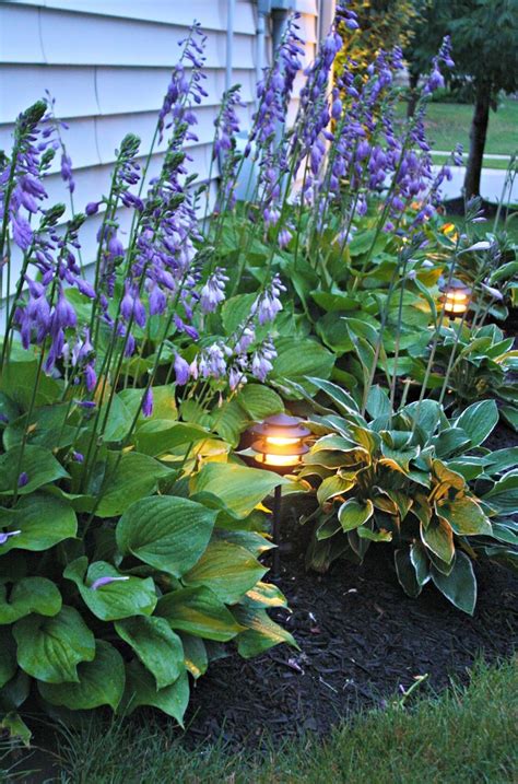 Coastal front yard landscaping ideas. Pin on Outside