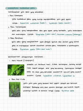 Ambisnotes | Biologi Kelas 10: Plantae - Ambisnotes