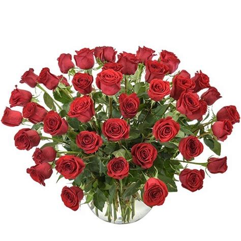 Rose Bouquet With 50 Roses Lombardos Flowers Croydon
