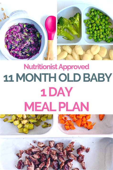 11 Month Old Meal Plan   Nutritionist Approved   Creative  