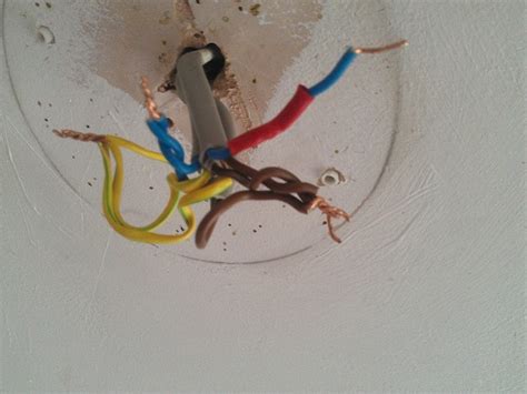 It should be identical to the measurement when you touch the ends of the black and white wires with the voltage tester. electrical - After binding the three live (brown) wires ...