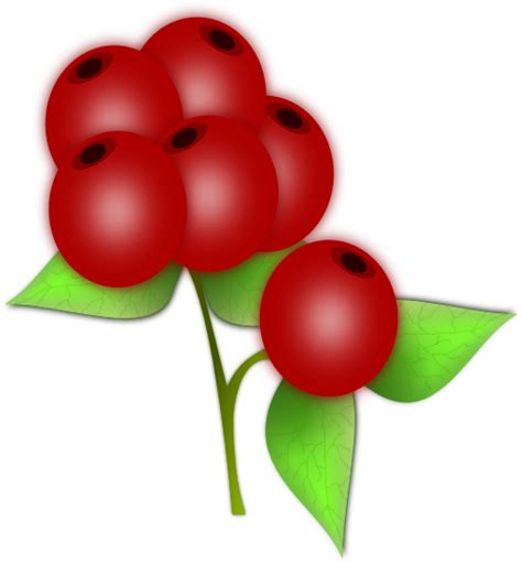 Red Berry Clipart I2clipart Royalty Free Public Domain Clipart