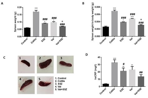 anti inflammatory effect of valsartan a spleen weight b spleen download scientific