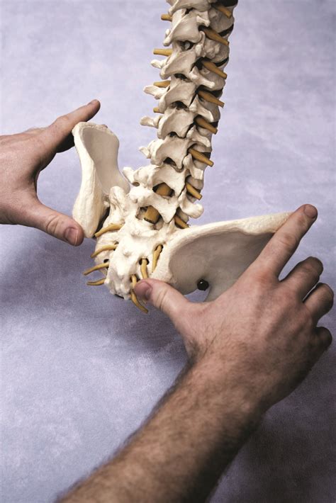 New Healthcare System Devoted To Comprehensive Spine Care Opens In New