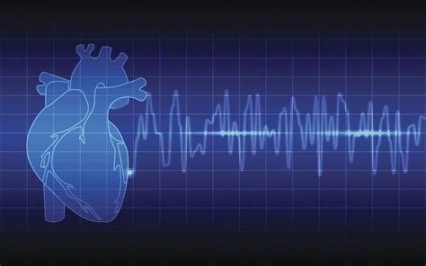 La Coh Rence Cardiaque Une Question D Quilibre V Lo Mag