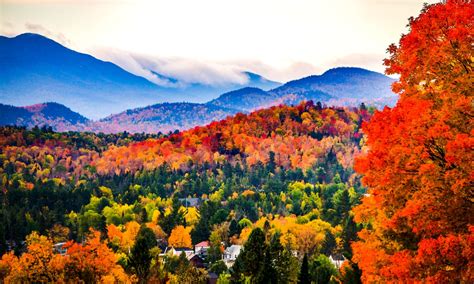 Are You A Secret Leaf Peeper By Cait Martin Tripsology