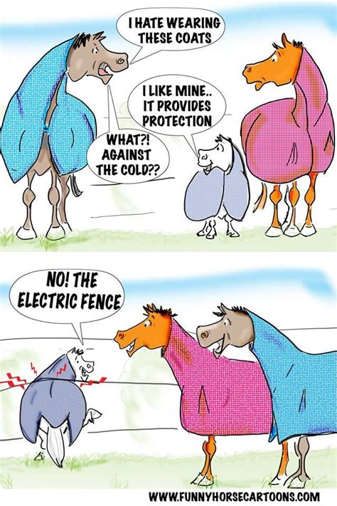 Winter Horse Fence Humor Funny Horse Pictures Funny Horses Funny