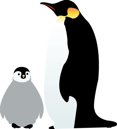 Emperor Penguin Chick Png Imagen De Alta Calidad Png All