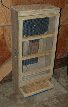 The cats will be happy with this feeding station. Raccoon Proof Cat Feeding Station | Sos Animals Lounge ...