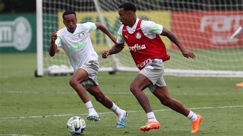 verdão encerra preparação para enfrentar o bragantino com trabalhos técnicos e táticos palmeiras