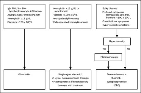 Diagnosis And Management Of Waldenström Macroglobulinemia Mayo