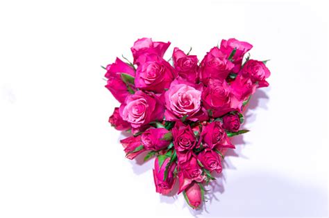 Heart Shaped Roses Bouquet Stock Photo Download Image Now Beautiful