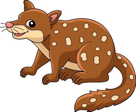 Quoll Vector Art Icons And Graphics For Free Download