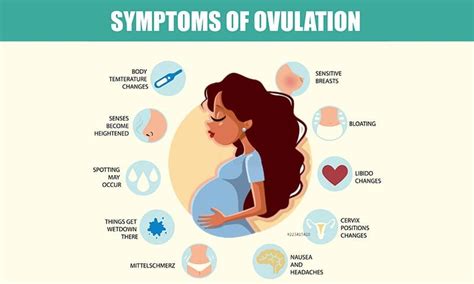 Symptoms Of Ovulation Period Easyworknet
