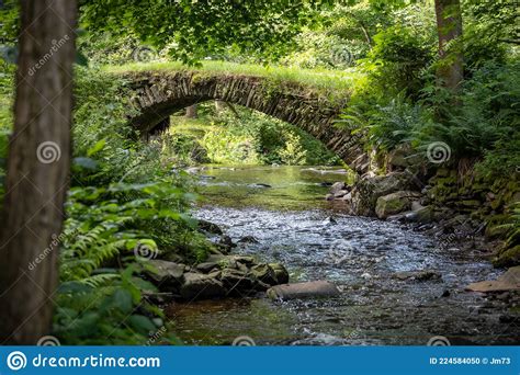 Historic Stone Bridge Over Stream In Summer Forest Stock Photo Image